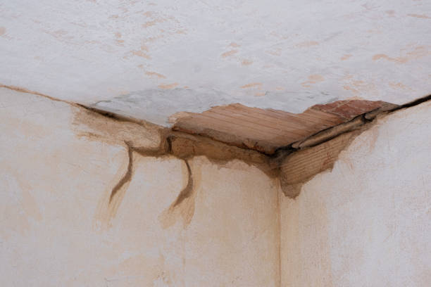 Best Water damage restoration near me  in Clear Lake, WA