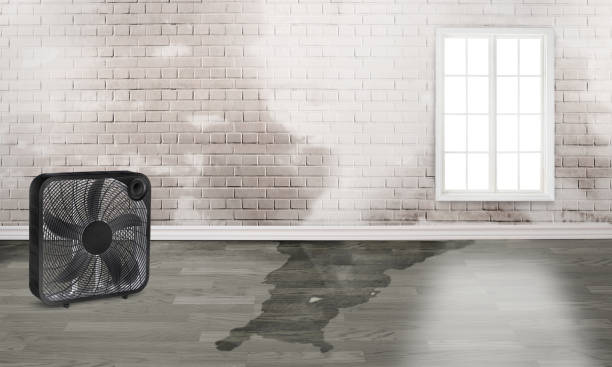 Water damage restoration insurance claims in Clear Lake, WA