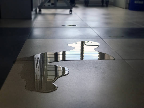 Best 24/7 water damage repair  in Clear Lake, WA