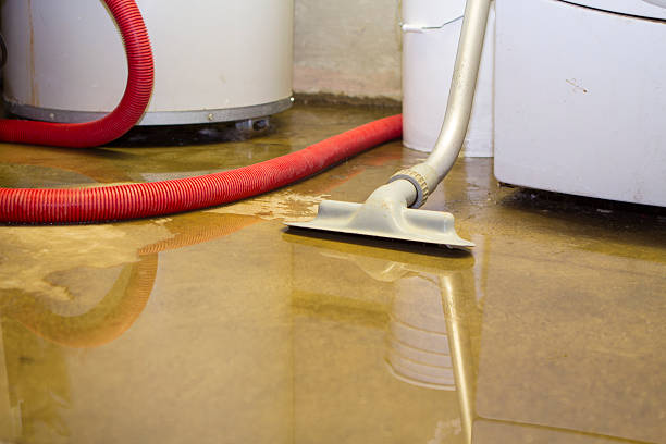 Best Water damage restoration near me  in Clear Lake, WA