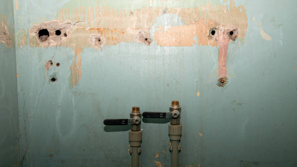 Best Flooded house restoration  in Clear Lake, WA