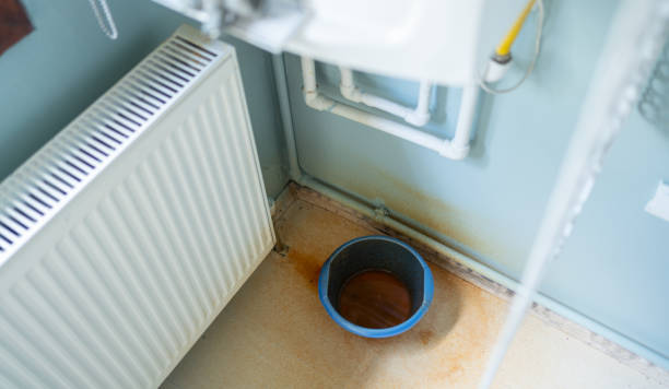 Best Water damage contractors near me  in Clear Lake, WA