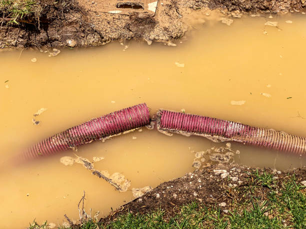 Best Flood restoration services  in Clear Lake, WA